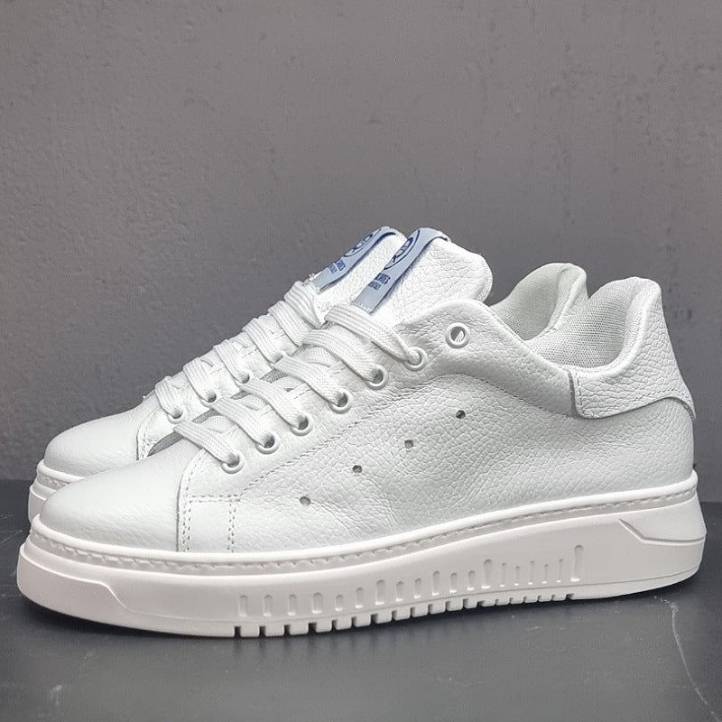 VEGA- sneakers