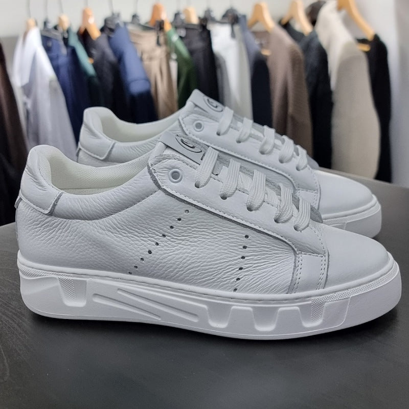 Sneakers art.pasol23